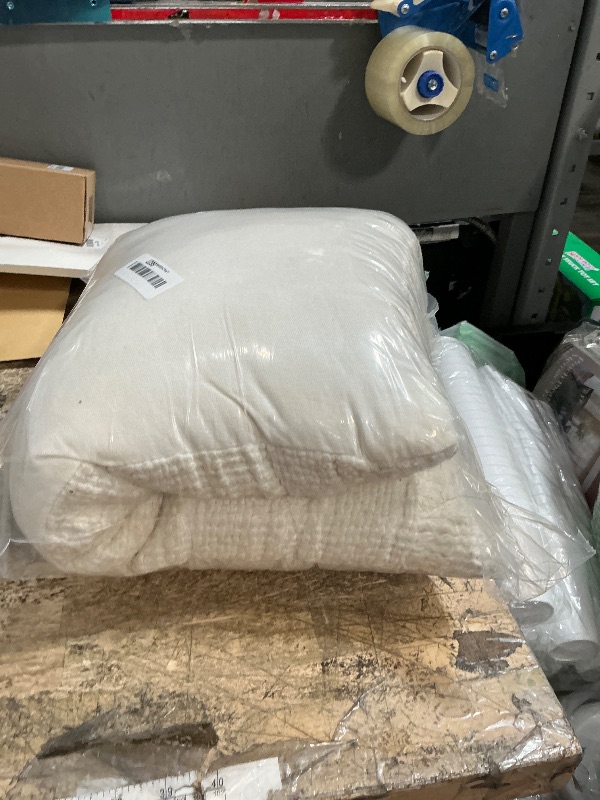 Photo 1 of ***DIRTY*** MIULEE Throw Pillow Insert Premium Pillow Stuffer Sham Rectangle for Decorative Cushion Bed Couch Sofa 12x20 Inch