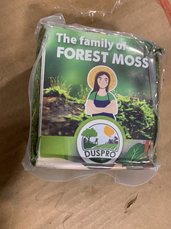 Photo 1 of [Upgraded] DUSPRO Green Moss for Crafts, Real Forest Moss Potted Plants, Decorative Mosses for Table Centerpieces Wedding, Easter Day Decoration, Indoor Planters, DIY Project (5 oz)