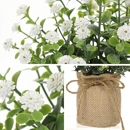 Photo 1 of ***SIMILAR**

Velener Artificial Flowers in Small Burlap Bag Vases 3Pcs - Faux Flowers Farmhouse, Fake Plants Home Coffee Table Bookshelf Office Desk Decorations Kitchen Dining Room Indoor(White/Yellow/Blue)