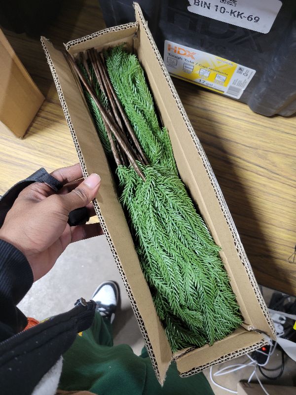 Photo 1 of 18 Pcs Real Touch Norfolk Pine Branches,Artificial Christmas Green Faux Cedar Norfolk Pine Stems Fake Greenery Pine Picks for Vase DIY Garland Wreath Xmas Indoor Outdoor Home Decoration (18 Inches)
