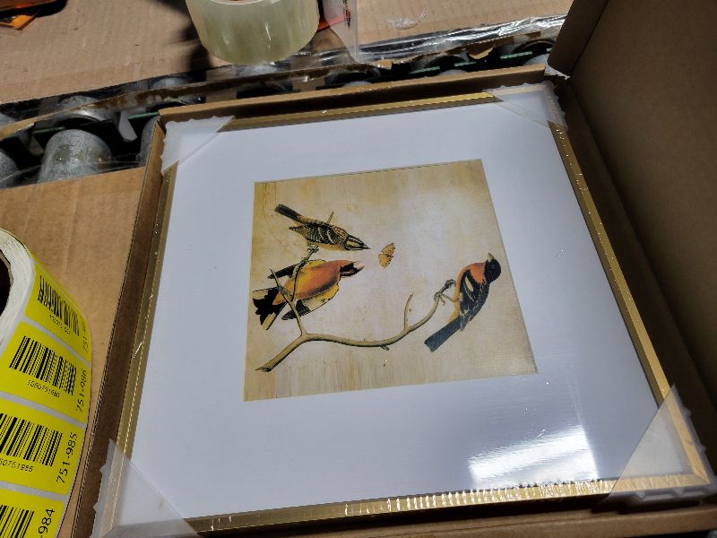 Photo 1 of 10x10 Picture Frame, Brass Metal Square Photo Frames with HD Glass, Fits 6x6 with Mat or 10 x 10 without Mat, Display for Wall and Table, 1 Pack