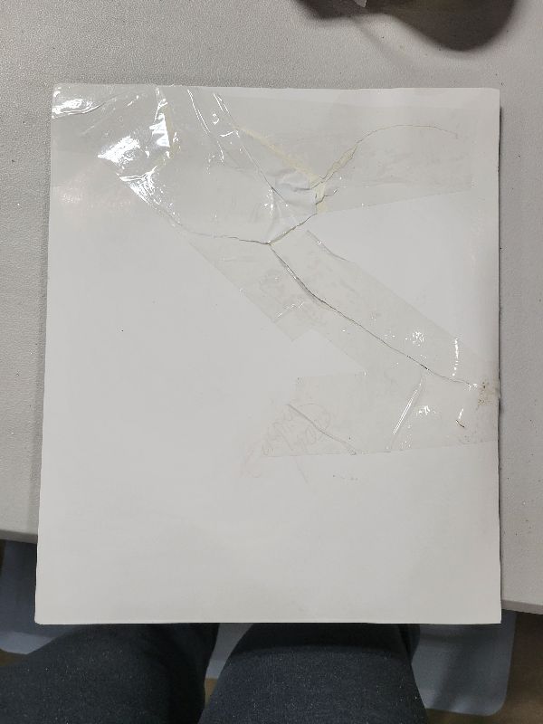 Photo 1 of 100Pcs Palm Leaves Artificial Tropical Monstera Plant Fake Leaves Safari Birthday Decorations,Jungle Theme Party Supplies,Faux Green Leaf for Hawaiian Luau Tiki Aloha Beach BBQ Table Decoration 3 Size