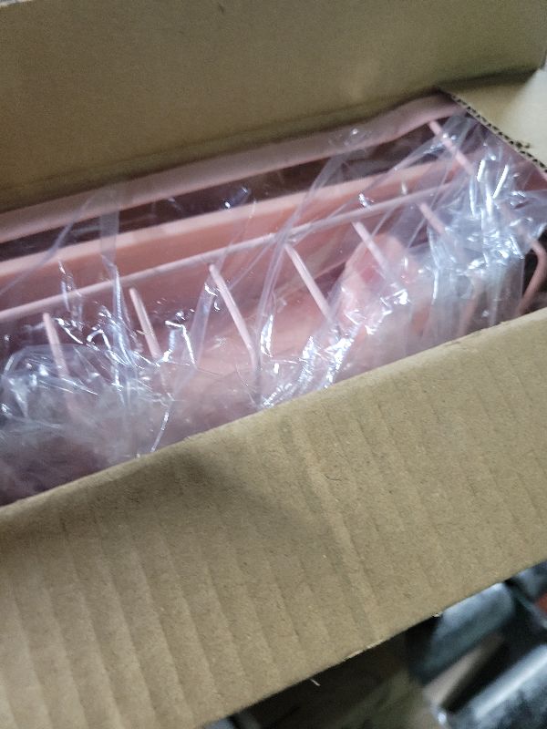 Photo 1 of AIDERLY Iron Dish Drying Rack Auto Drain Dish Drainers Kitchen Counter Strainer with Draining Tray, Pink