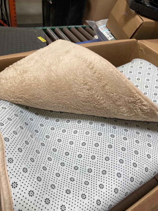 Photo 1 of Large size area rug 