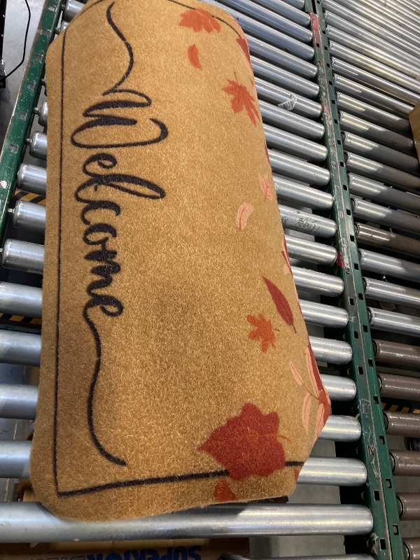 Photo 1 of 36x24inch Main entrance floor mat 