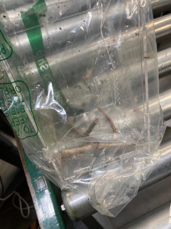 Photo 1 of Acrylic Jumping Spider Habitat, Insect Terrarium, Bug Enclosure, Praying Mantis Habitat, Frog Enclosure