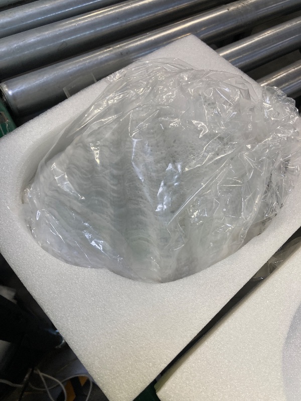 Photo 1 of ALIWINER Medium White Scalloped Clam Shell Bowl Sea Shell Decor for Nautical Beach House,Coastal Decor Gift of Housewarming and Wedding Party