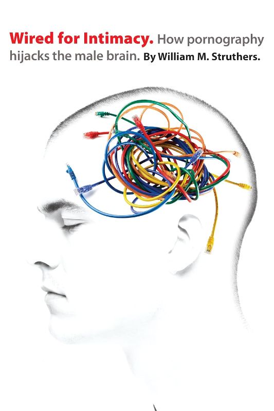 Photo 1 of Wired for Intimacy: How Pornography Hijacks the Male Brain Paperback 
