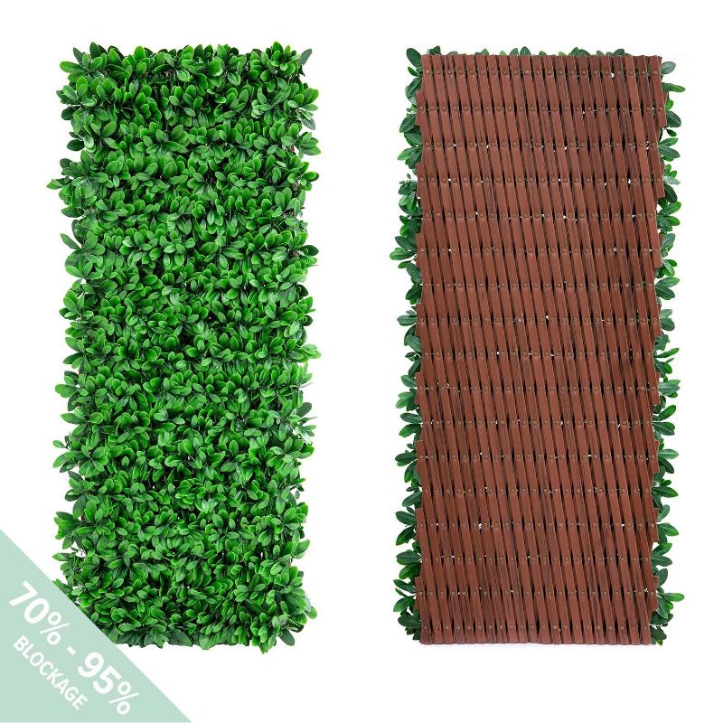 Photo 1 of Expandable English Laurel Privacy Fence
