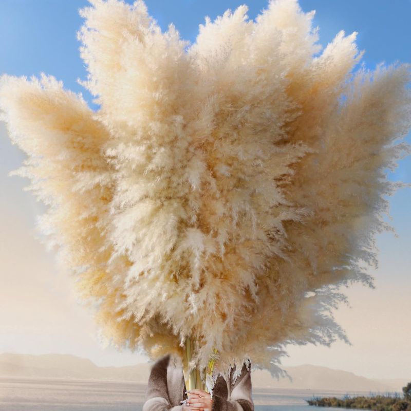 Photo 1 of 24 pcs Tall Pampas Grass Decoration - Pasuvsigt 40 Inch Large Pampas Grass Dried Flower Decoration,for Bohemian Style Living Room Decoration, Wedding Decoration, Party, Farmhouse Decoration
