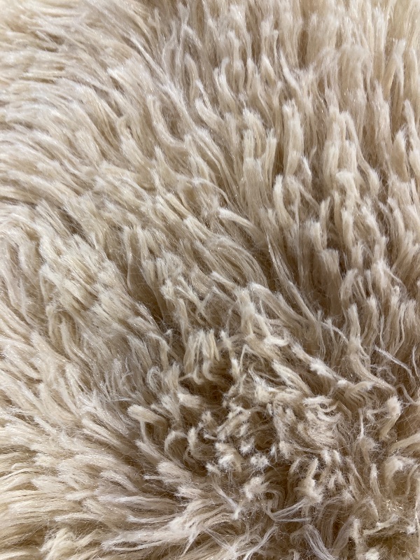 Photo 1 of 6'x10' Washable Rug 