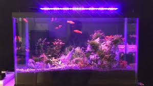 Photo 1 of LED Light Strip - Ultra-Thin 45"