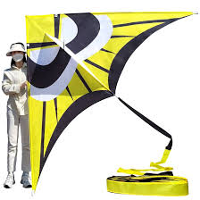 Photo 1 of Kaiciuss Delta Kite for Kids & Adults Easy to Fly Large, The Easiest Single Line Beach Kite, it Comes with 300ft String Kite Handle