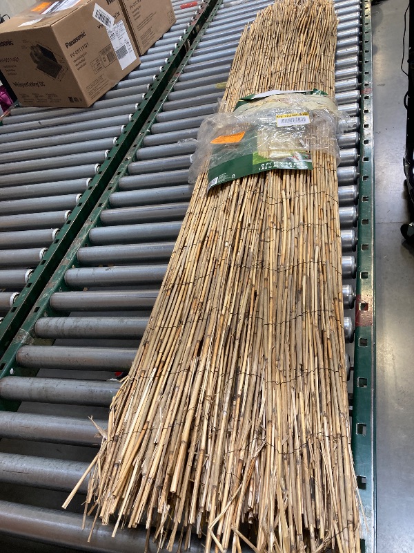 Photo 1 of Vigoro 6 ft. H x 16 ft. W Natural Reed Fencing 4477412
