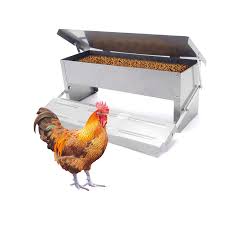 Photo 1 of Chicken Auto Feeder 