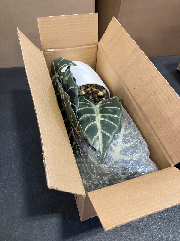 Photo 1 of Briful Fake Plant 15" Realistic Potted Artificial Plant, Alocasia Amazonica Polly Faux Plant, Large Leaves Fake Houseplant Tropical Plant for Home Indoor Bathroom Living Room Wedding Decor