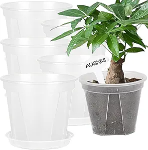 Photo 1 of 5 Sets 8 Inch Transparent Plastic Garden Pots Planter with Saucer Plant Planter Drainage Hole Plastic Pots for Plants Indoor and Out Door House Plants with 10pcs Plant Labels