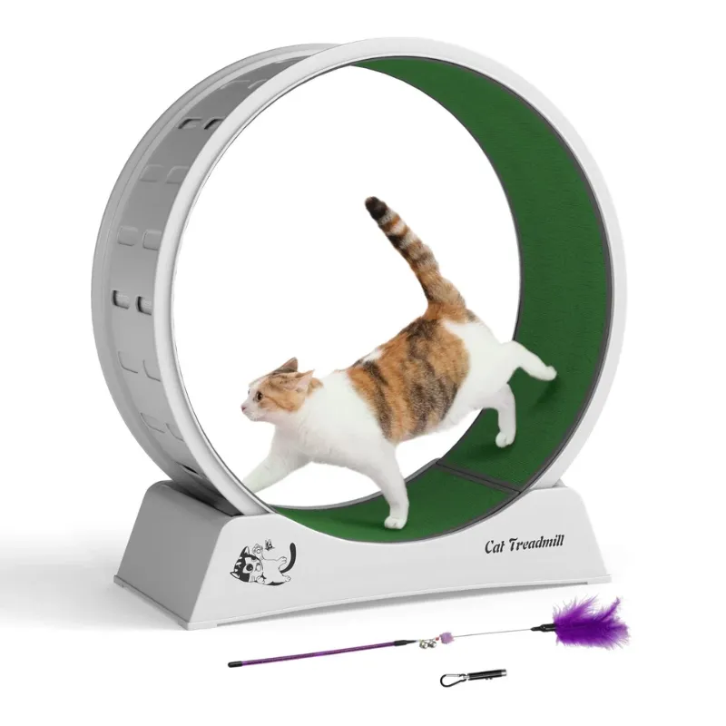 Photo 1 of Cat Exercise Treadmill/Wheel 