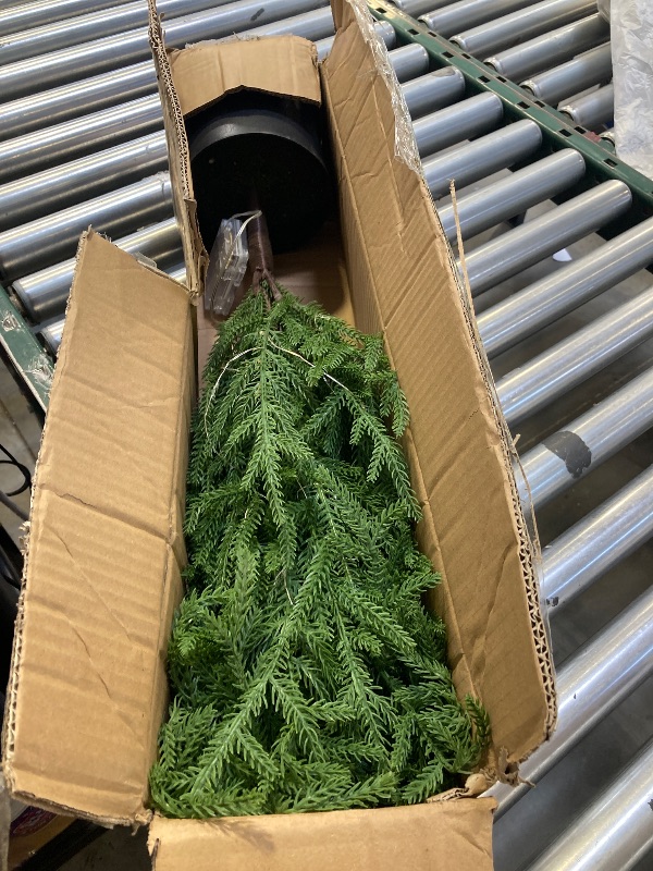 Photo 1 of ENVEN 3FT Pre-Lit Artificial Norfolk Pine Christmas Tree – Realistic Potted Tree with 70 LED Lights & 8-Mode Battery Box, Pre-Assembled Faux Holiday Decor for Indoor Display