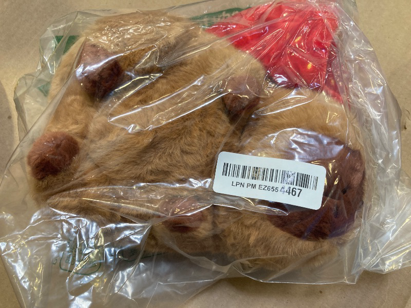Photo 1 of Acgtrick Cute Capybara Plush Soft Capybara Stuffed 12 inch