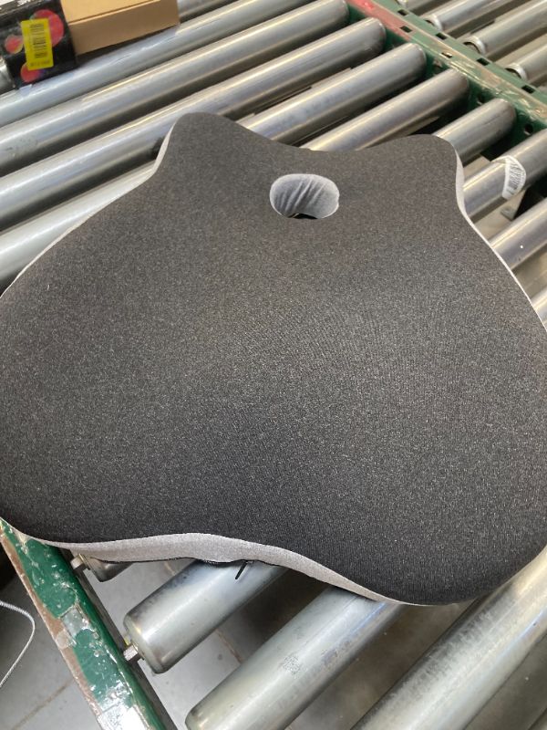 Photo 1 of lumbar support cushion