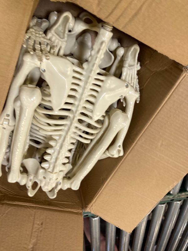 Photo 1 of 2 Pack 36" Halloween Skeleton - 3 ft Life Size Human Skeleton with Full Body Posable Joints - Spooky Scary Plastic Skeletons for Outdoor Decoration, Halloween Party Decor, Haunted House Props