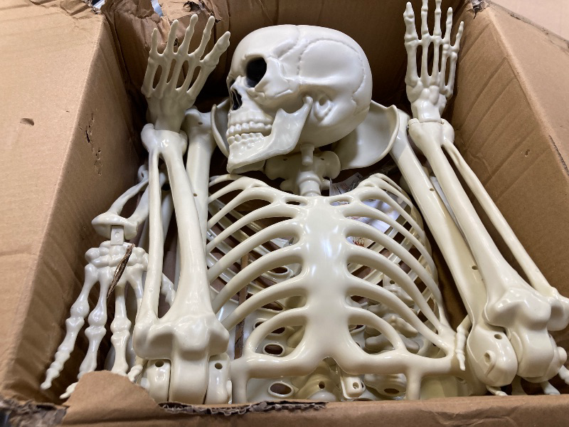 Photo 1 of 2PCS Skeleton Décor 