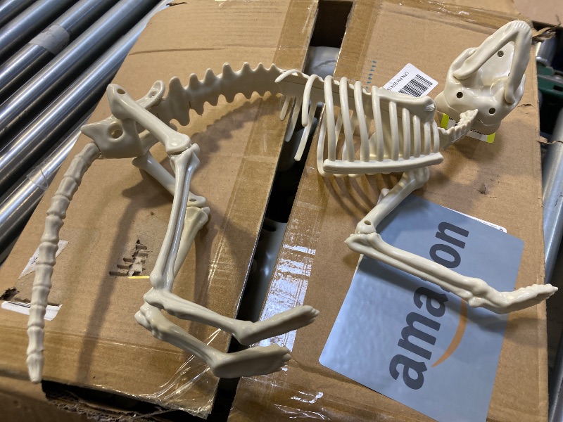 Photo 1 of 2PCS Skeleton Décor 