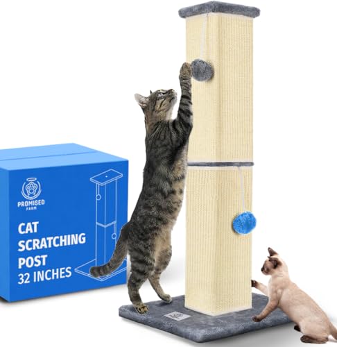 Photo 1 of PROMISED FARM Tall Cat Scratching Post 32 Inches - Protects Furniture - Durable and Sturdy Design - Aesthetic Cat Accessories Essentials Grey/Blue
