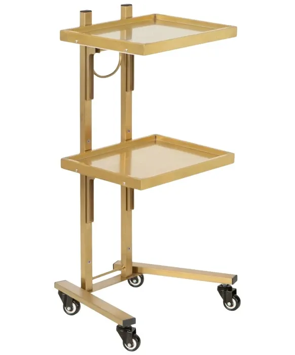 Photo 1 of CS Beauty Salon Cart Gold