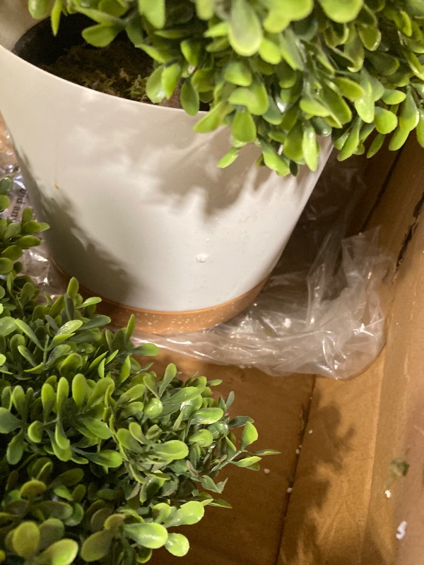 Photo 1 of Artificial Tree Set of 2 white pot- 3 ft- READ CLERK NOTES
