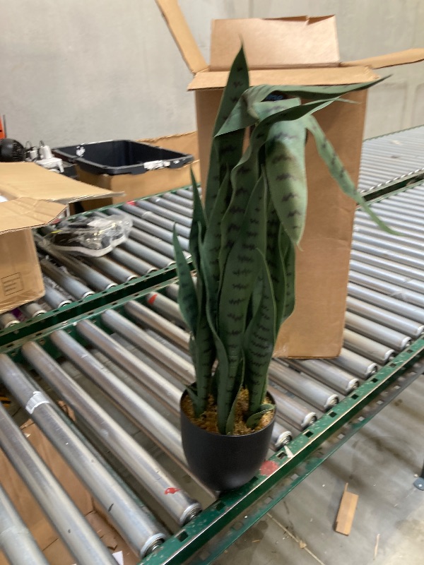 Photo 1 of  Nearly Natural, Green 4855 35in. Sansevieria with Black Planter 
