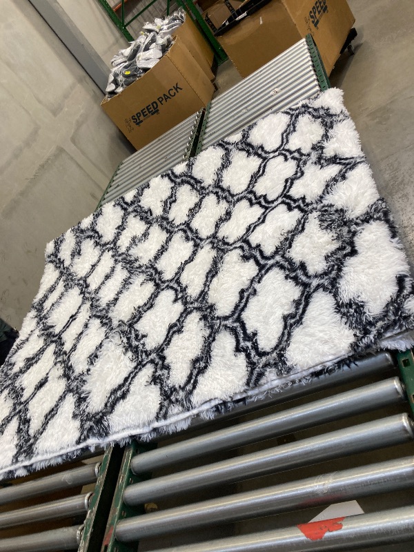 Photo 1 of 8'X10' SHAG AREA RUG 