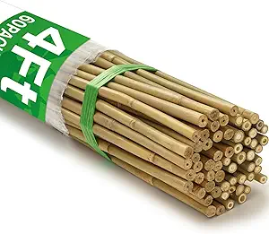 Photo 1 of 60Pcs Bamboo Stakes for Plant 4 Feet, Garden Bamboo Plant Stakes for Plants Support, Bamboo Sticks for Climbing Plants, Tomatoes, Sunflowers, Beans, Potted Plants, Trees