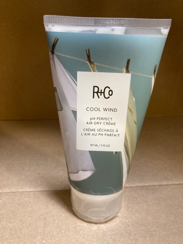 Photo 1 of R+Co Cool Wind pH Perfect Air Dry Hair Cream (5 Oz) | Hydrates + Tames + Softens | Vegan + Cruelty-Free |