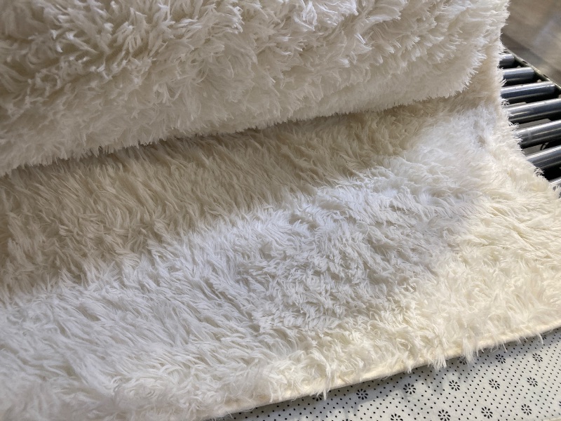 Photo 1 of Flor Area Rug
