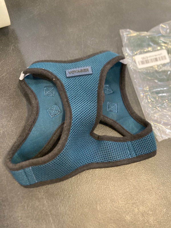 Photo 1 of voyager blue large harness