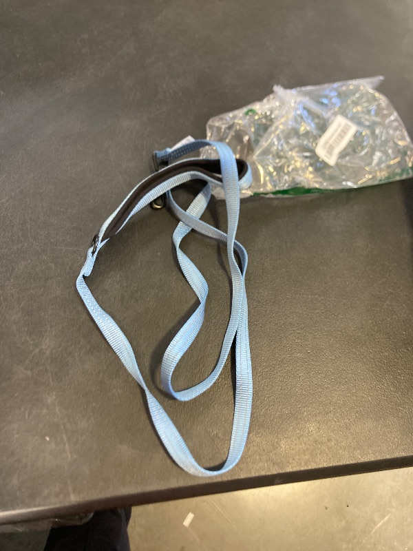 Photo 1 of voyager blue leash