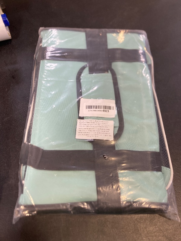 Photo 1 of BLUE PET CARRIER