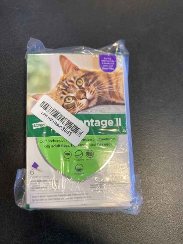 Photo 1 of Advantage II Large Cat Vet-Recommended Flea Treatment & Prevention | Cats Over 9 lbs. | 6-Month Supply