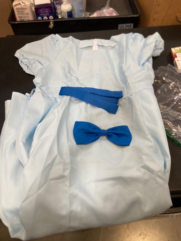 Photo 1 of womens xl gown costume