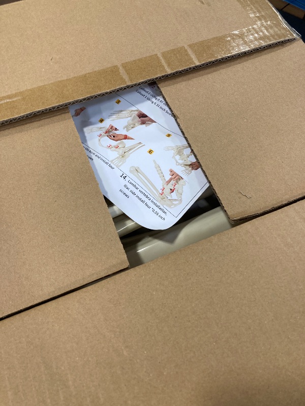 Photo 1 of Abakuku 5.4 ft Posable Halloween Skeleton Decorations,Human Bones for Halloween Party with Movable Joints,for Haunted Houses, Front Lawn, Graveyard Props