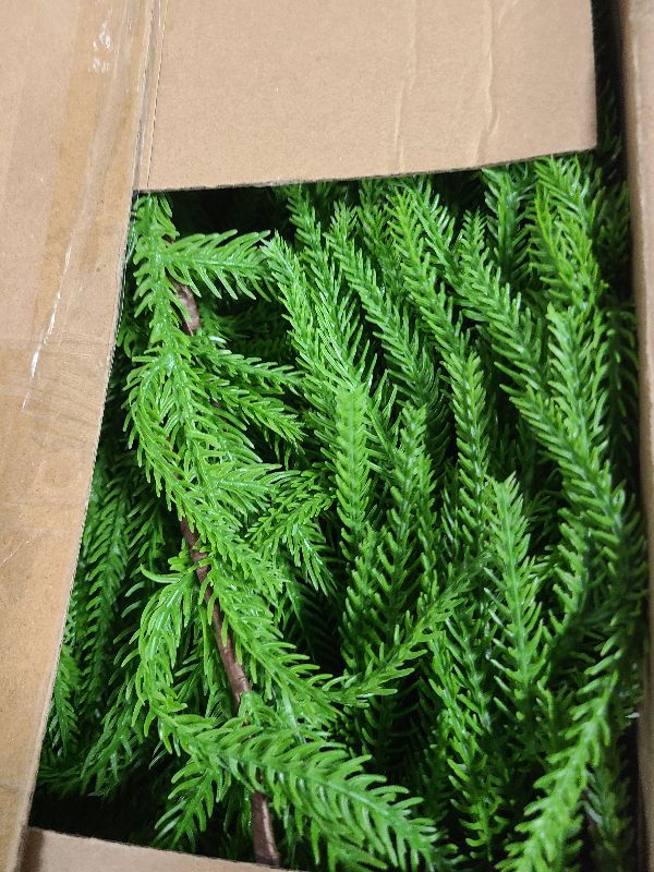 Photo 1 of 2 Pack 9 Ft Artificial Norfolk Pine Garlands - Christmas Decor Realistic Pine Garland, Green Faux Greenery Garland for Table, Mantle, Fireplace, Wall, Indoor Outdoor Winter Christmas Decorations