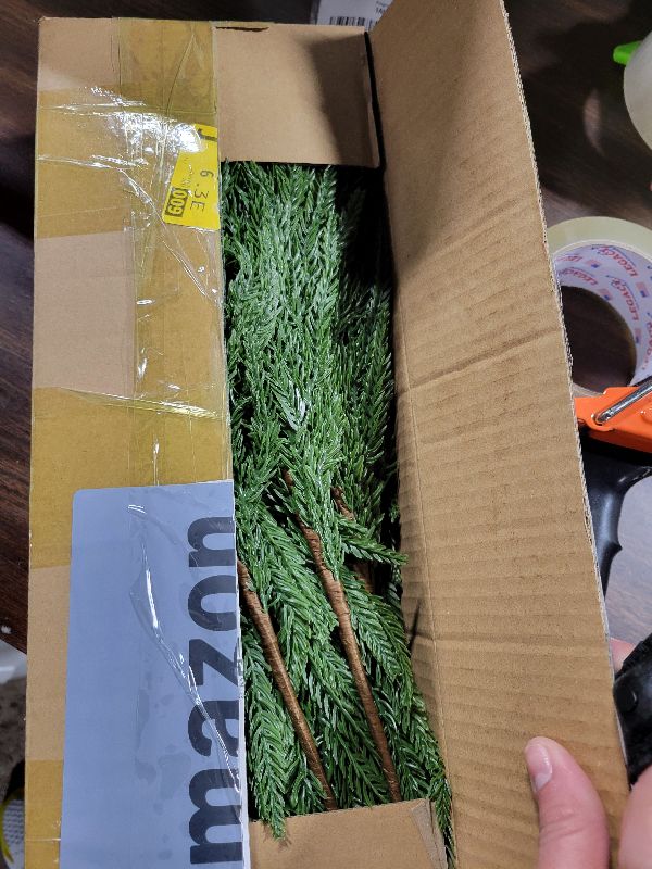 Photo 1 of 16 PCS 18 Inches Artificial Christmas Norfolk Pine Branch, Natural Touch Norfolk Faux Greenery Pine Stems, Fake Norfolk Picks Christmas Decoratoins for Vase DIY Garland Wreath Xmas Indoor Home Decor