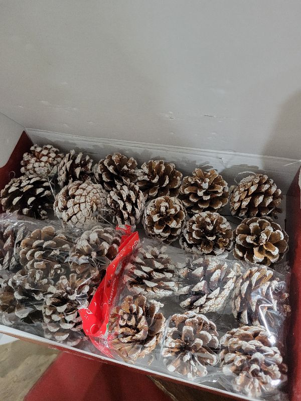 Photo 1 of 24 PCS Pine Cones for Christmas Tree Snowflake Natural Pinecones Ornament with String Pendant Crafts for Xmas Party Home Decor Fall Winter Holiday Christmas Tree Decoration (24)
