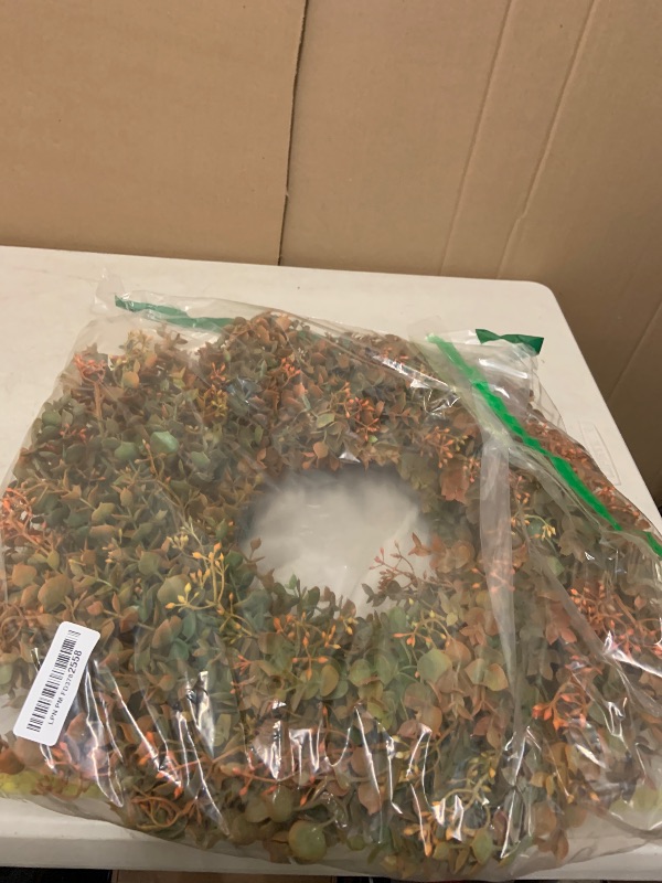 Photo 1 of 26" Fall Wreath for Front Door - Large Artificial Eucalyptus Leaves with Orange Seeds Outdoor Wreath for Porch, Window,Farmhouse,Home,Thanksgiving Day Harvest Festival Autumn Decor