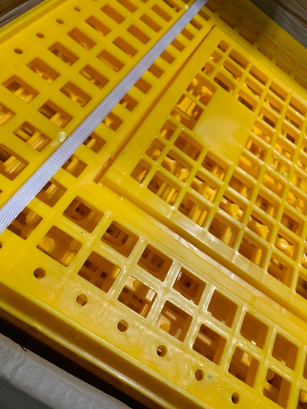 Photo 1 of ****AS IS ALL SALES FINAL  NON RETURNS  ****Sintuff Poultry Carrier Crate Plastic Chicken Transport Cage Bird Carriers Chickens Carrier Travel Crate Basket Box for Poultry Chicken Bird Duck Goose, 29.5 x 21.7 x 11.6 Inch(6 Pcs)

****AS IS ALL SALES FINAL 