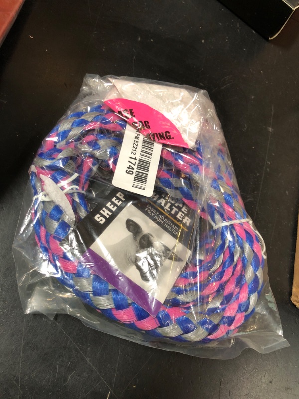 Photo 1 of Weaver Leather Livestock Poly Rope Sheep Halter, Royal Blue/Coral/Gray