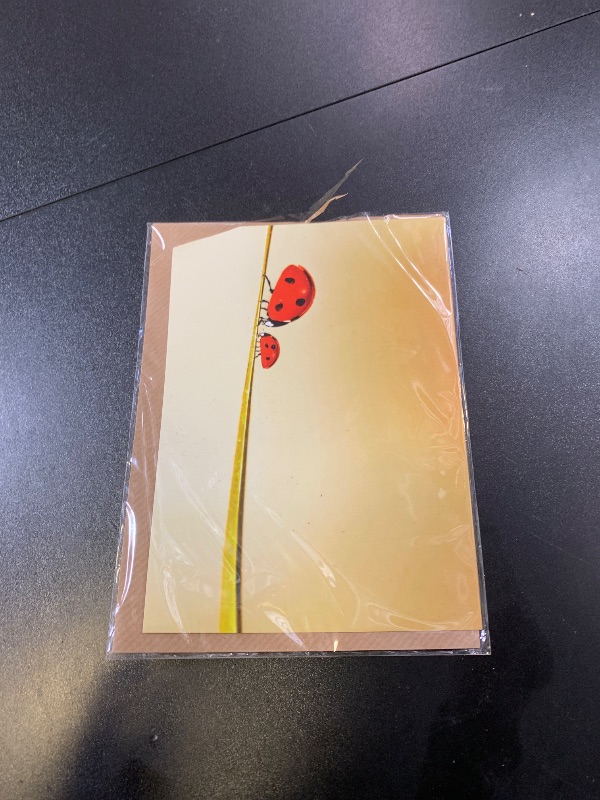 Photo 1 of Wee Blue Coo CARD GREETING BIRTHDAY LADYBIRDS LADYBUGS GIFT