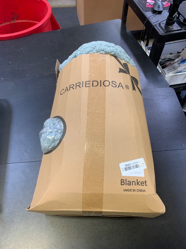 Photo 1 of Carriediosa Chunky Knit Throw Blanket 50" X 60", 100% Hand Made Large Chenille Loop Yarn Soft Fluffy Throws for Couch Sofa Bed, Big Crochet Cozy Heavy Thick Cable Woven Blanket, Sage Green